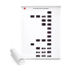 Poster family tree (EN)(packaging unit of 10 pcs)