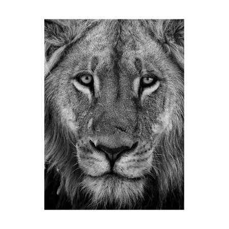 APO-VARIO-ELMARIT-SL 90-280 f/2.8-4, black anodized finish