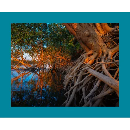 SUPER-VARIO-ELMAR-SL 16-35 f/3.5-4.5 ASPH., black anodized finish