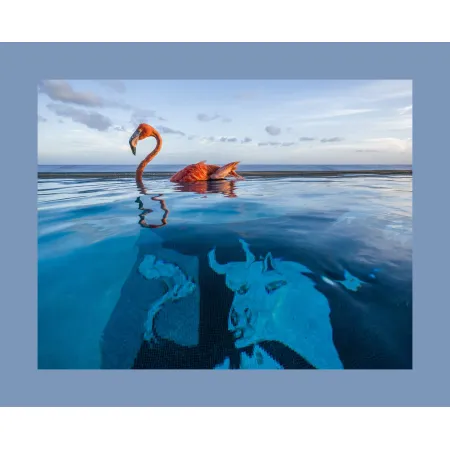 SUPER-VARIO-ELMAR-SL 16-35 f/3.5-4.5 ASPH., black anodized finish