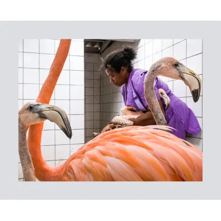 SUPER-VARIO-ELMAR-SL 16-35 f/3.5-4.5 ASPH., black anodized finish