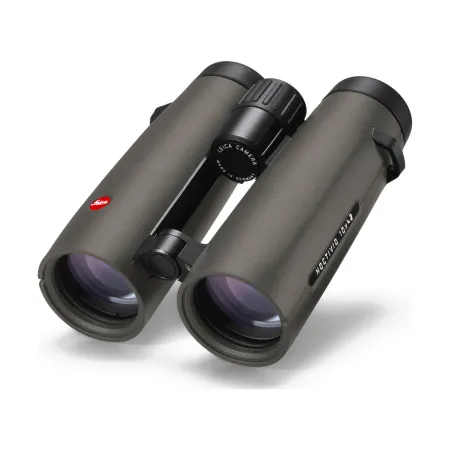 NOCTIVID 10x42, green